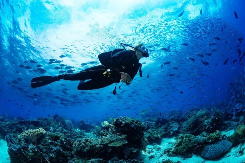 Sharm El Sheikh: Luxury boat Cruise with Snorkeling & Lunch - Final Thoughts