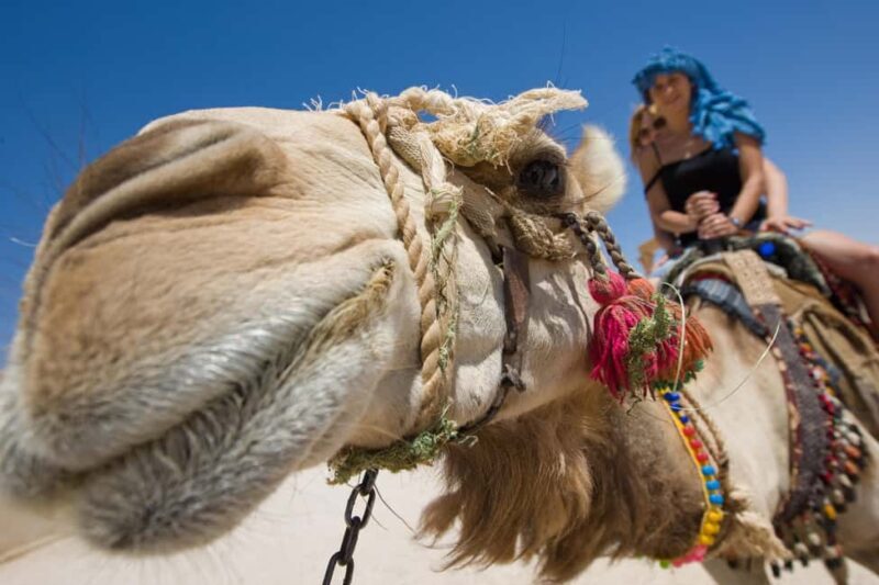 Sharm El-Sheikh: Morning Desert ATV Quad or Buggy Adventure - An In-Depth Look at the Desert Adventure