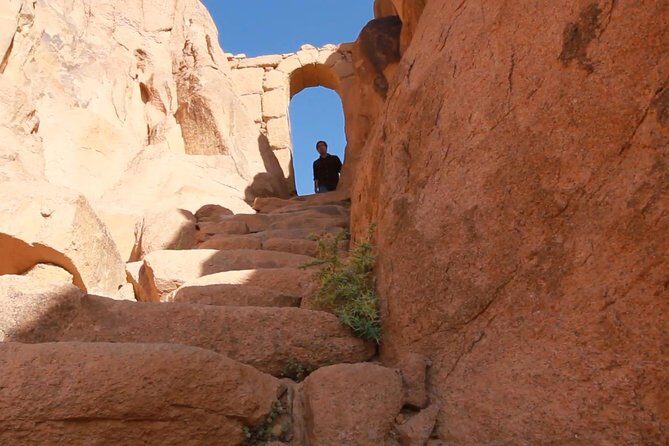 Sharm El Sheikh: Mount Sinai Sunrise Hike & Monastery Visit - Who Is This Tour Best For?