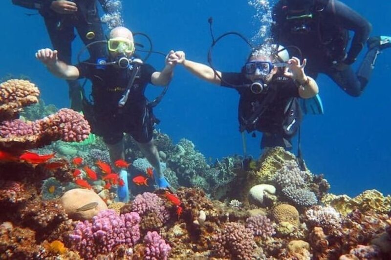 Sharm El-Sheikh: Parasailing, Camel Ride, Dive & Quad Bike - A Closer Look at the Itinerary