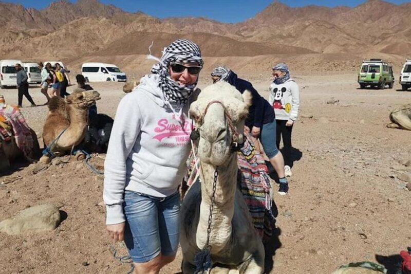 Sharm El-Sheikh: Parasailing, Camel Ride, Dive & Quad Bike - Real Traveler Perspectives