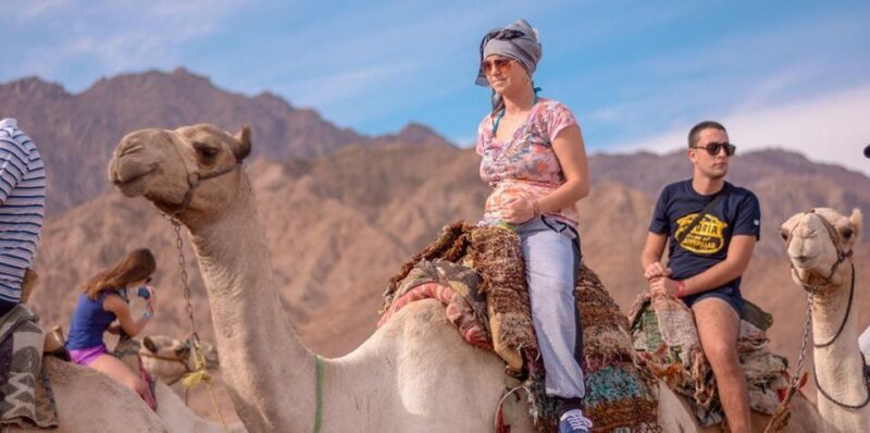 Sharm El Sheikh: Quad bike, Safari, Camel With Dinner & Show - What the Reviews Say — A Balanced View