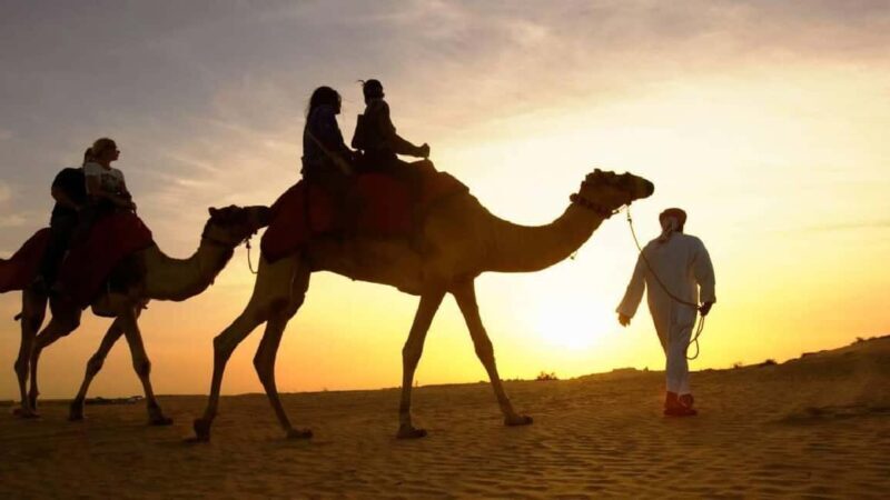 Sharm El Sheikh: Quad Biking, Camel Ride & Bedouin Dinner. - A Practical Look at the Experience