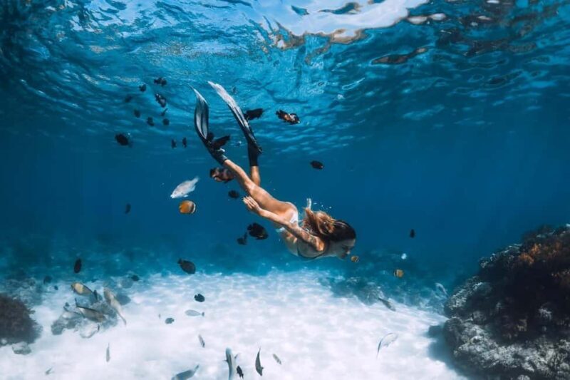 Sharm El Sheikh: Ras Mohamed and White island cruise - What to Expect: The Itinerary Breakdown