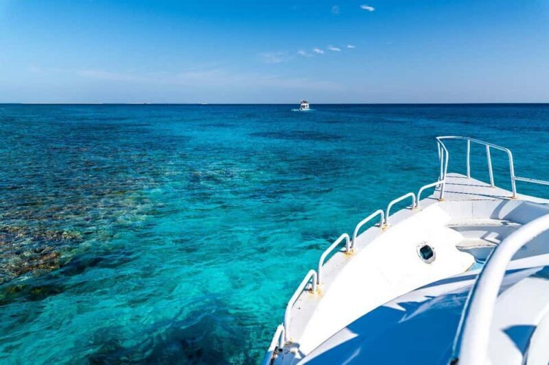 Sharm El Sheikh: Ras Mohamed and White island cruise - Authentic Experiences from Fellow Travelers