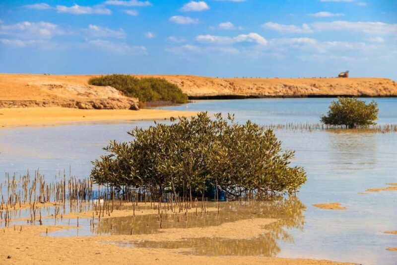 Sharm El-Sheikh: Ras Mohamed Half-Day Tour & Allah's Gate - What to Expect from the Tour