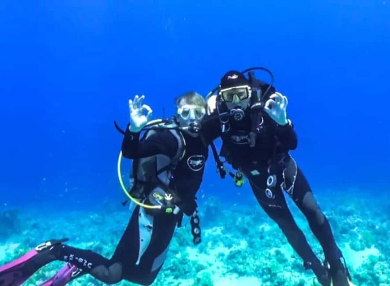 Sharm El Sheikh: Ras Mohamed & White Island Dive & Snorkel - What’s Included and What’s Not