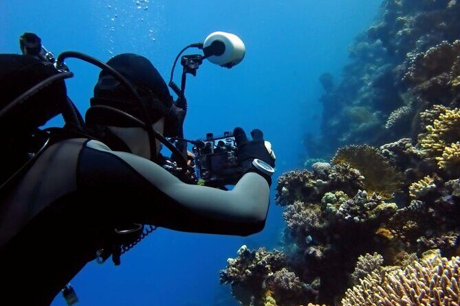 Sharm El Sheikh: Ras Mohamed, White Island, Snorkel and Diving - Why Choose This Tour?