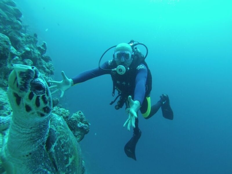 Sharm El Sheikh: Ras Mohamed & White Island Snorkel or Dive - The Marine Environment and Coral Reefs