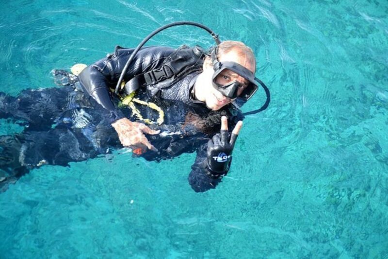 Sharm El Sheikh: Ras Mohamed & White Island Snorkel or Dive - Pricing and Value