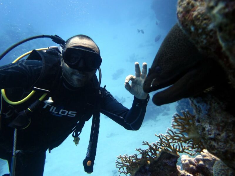 Sharm El Sheikh: Ras Mohamed & White Island Snorkel or Dive - Who Will Love This Tour?