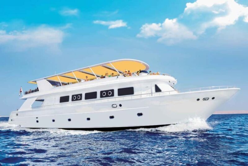 Sharm El-Sheikh: Ras Mohamed & White Island Snorkeling Trip - Key Points