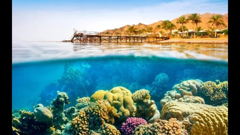 Sharm El-Sheikh: Ras Mohamed & White Island Snorkeling Trip - The Sum Up