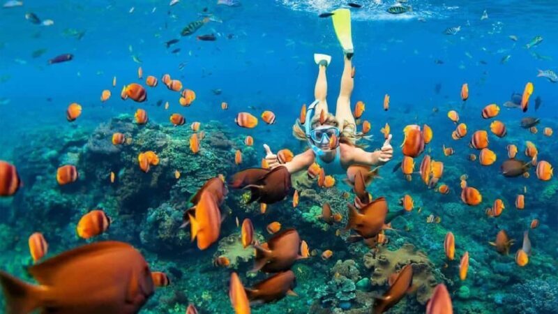Sharm El Sheikh: Ras Mohammed Snorkeling Boat Tour - Key Points