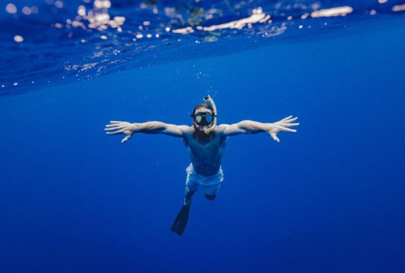 Sharm El Sheikh: Ras Mohammed Snorkeling Boat Tour - An Introduction to the Ras Mohamed Snorkeling Tour
