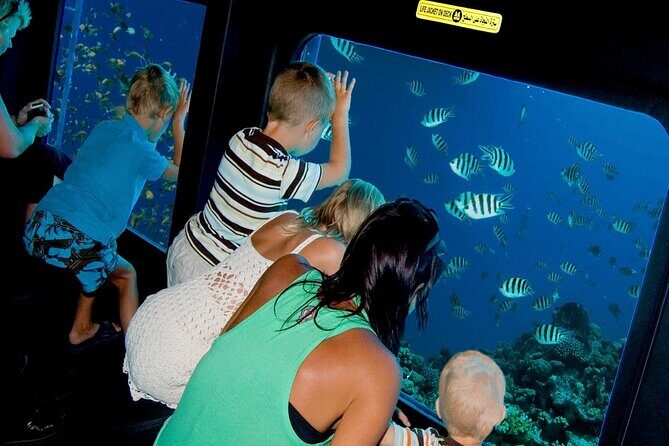 Sharm El-Sheikh: Royal Seascope Submarine cruise in with pickup - What Makes This Tour Stand Out