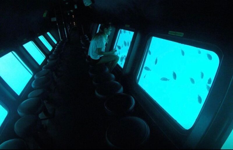 Sharm El-Sheikh: Seascope Submarine boat cruise with pickup - The Experience: What to Expect