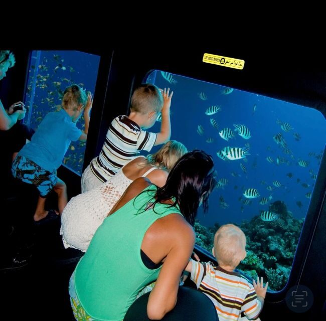 Sharm El-Sheikh: Seascope Submarine boat cruise with pickup - Who Will Love This Tour?