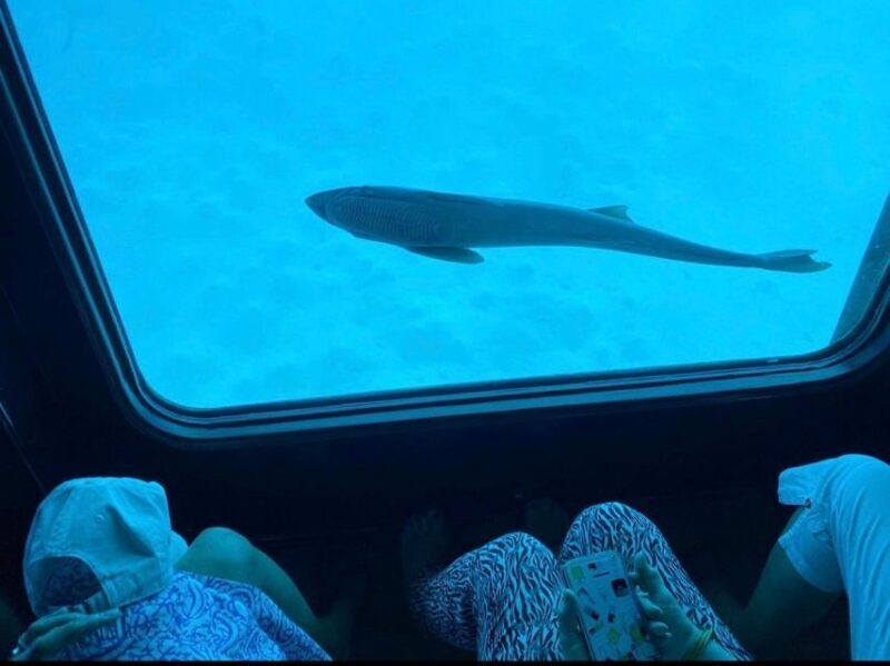 Sharm El-Sheikh: Seascope Submarine boat cruise with pickup - Final Thoughts
