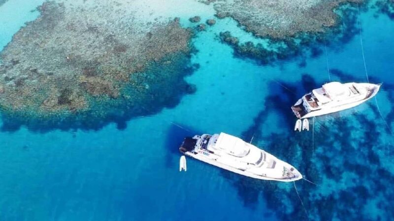 Sharm el-Sheikh: Snorkeling at White Island & Ras Mohamed - An In-Depth Look at the Snorkeling Adventure