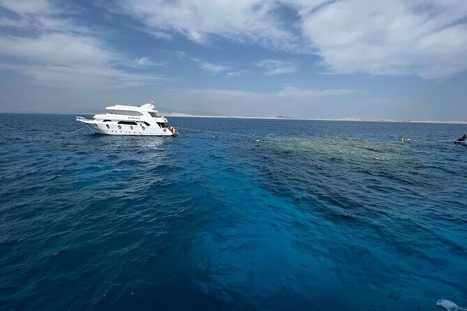 Sharm El Sheikh : White Island and Ras Mohamed Trip - Key Points