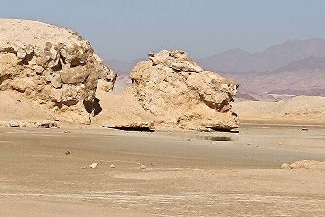 Sharm El Sheikh : White Island and Ras Mohamed Trip - Authentic Experiences and Traveler Perspectives