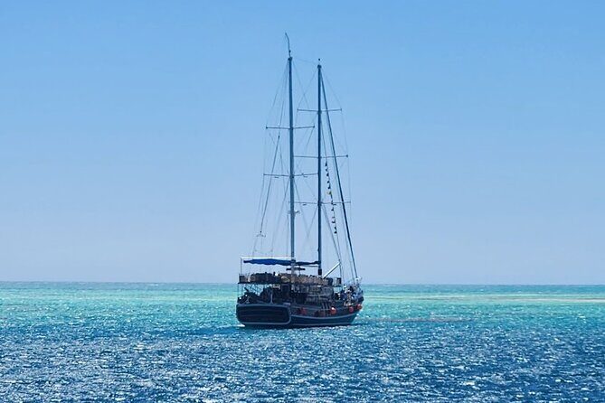 Sharm El Sheikh : White Island and Ras Mohamed Trip - Practical Tips for Participants