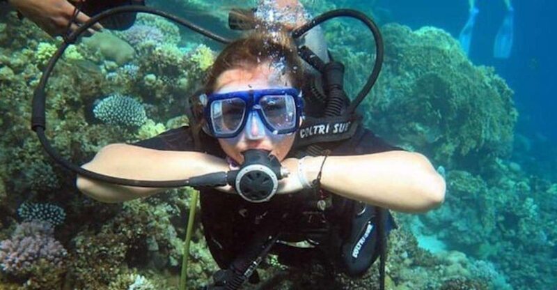 Sharm: Introductory Dive from the Shore & PADI Courses - Authentic Reviews and Insights