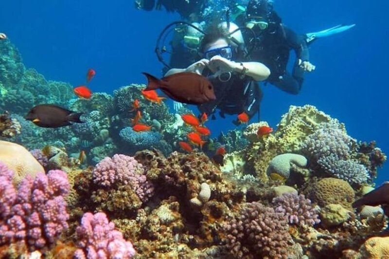 Sharm to Dahab: Colored Canyon, Blue Hole, Qude Bike, Camels - Introduction
