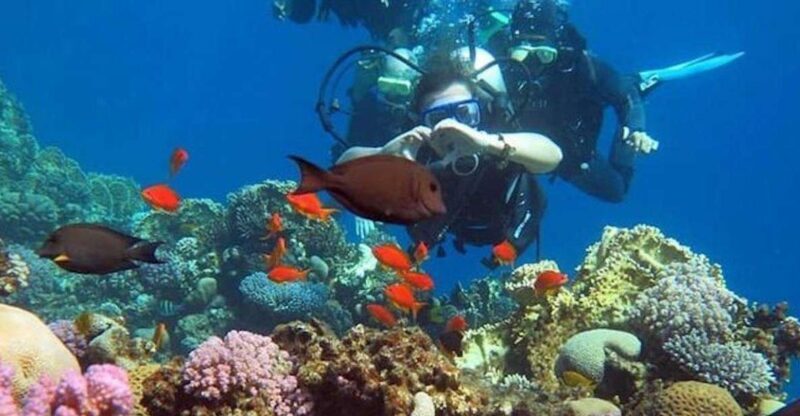 Sharm to Dahab: Colored Canyon, Blue Hole, Qude Bike, Camels - Key Points