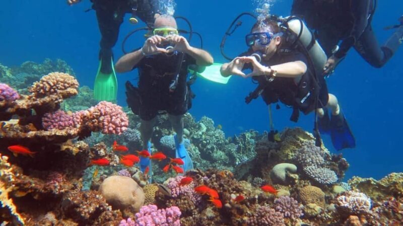 Sharm to Dahab: Colored Canyon, Blue Hole, Qude Bike, Camels - Authentic Experiences and Authenticity
