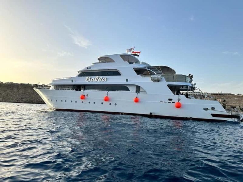 Sharm: Vip Snorkeling Cruise with international lunch - Genuine Benefits for Travelers