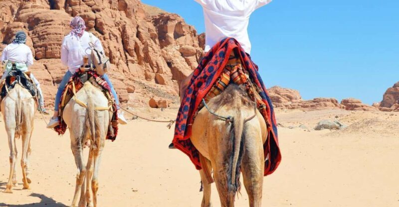 Sharm: Water Sports Adventure Day with Hotel Transfer - Who Will Get the Most Out of This Tour?