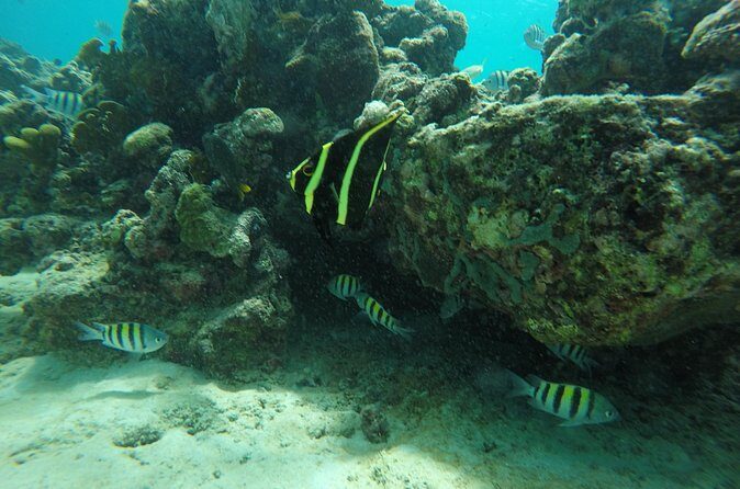 Shasa private catamran sailing cruise, Snorkel with turtles. - Who Will Love This Tour?