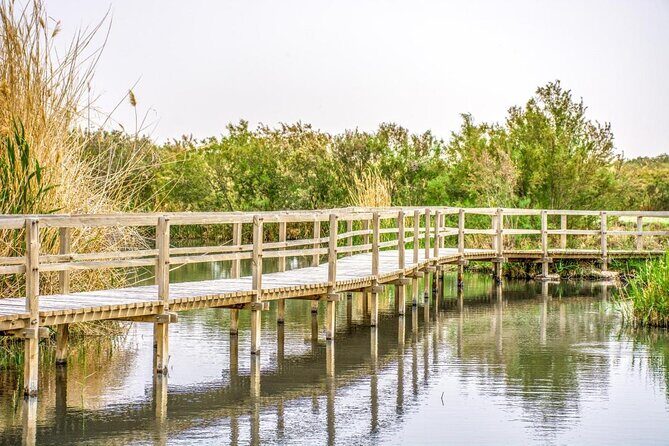 Shaumari Reserve and Azraq Wetland Private Full Day Tour from Amman - Key Points