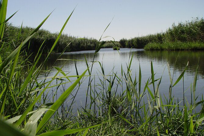 Shaumari Reserve and Azraq Wetland Private Full Day Tour from Amman - Who Will Appreciate This Tour?