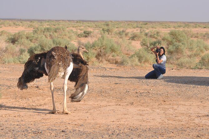 Shaumari Reserve and Azraq Wetland Private Full Day Tour from Amman - FAQ