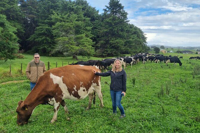 Sheep & Beef Working Farm Private Tour - A Closer Look at the Itinerary and What You’ll Experience