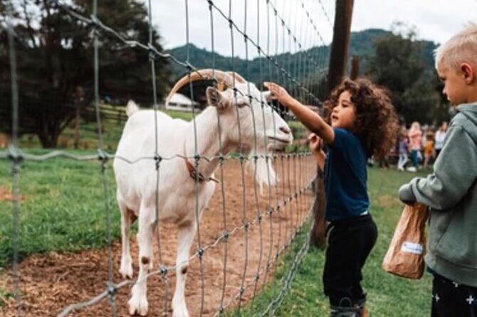 Sheep World and West Auckland Discovery Small Group Day Tour - Who Will Appreciate This Tour?