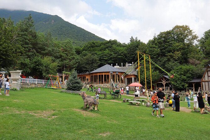 Sheki Cultural and Historical Shared Tour - Who Will Love This Tour?
