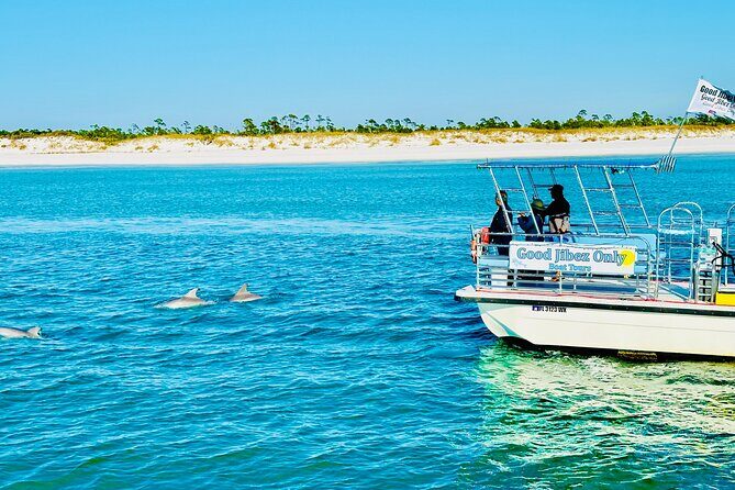 Shell Island Dolphin Sightseeing Boat Tour in Panama City Beach - An Up-Close Look at the Experience