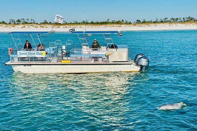 Shell Island Dolphin Sightseeing Boat Tour in Panama City Beach - How It Compares to Other Water Tours