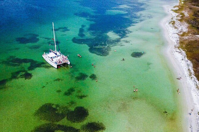 Shell Island Snorkel and Dolphin Catamaran Cruise with Island Time - Key Points