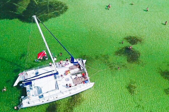 Shell Island Snorkel and Dolphin Catamaran Cruise with Island Time - What to Expect on the Cruise
