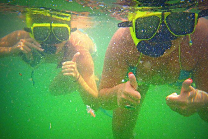 Shell Island Snorkel and Dolphin Catamaran Cruise with Island Time - Authentic Traveler Feedback