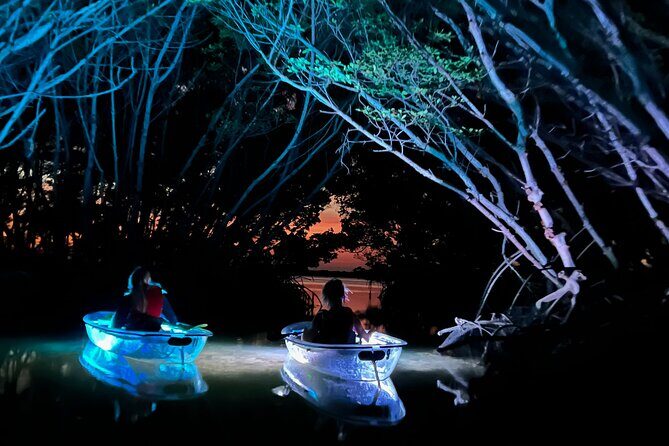Shell Key Clear Kayak Sunset & Glow Tours - Who’s This Tour Best For?