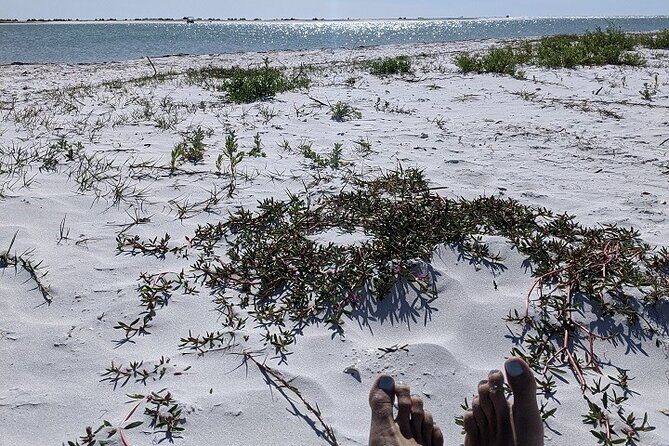 Shell Key Ferry from Ft. DeSoto Boat Ramp in Tierra Verde, FL - Practical Details and Tips