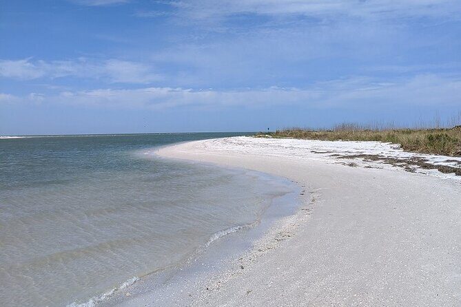 Shell Key Ferry from Ft. DeSoto Boat Ramp in Tierra Verde, FL - Who Will Love This Tour?