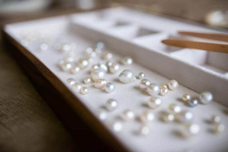 Shell to Showroom - Sydney's only Pearl Farm Experience - A Detailed Look at the Shell to Showroom Tour