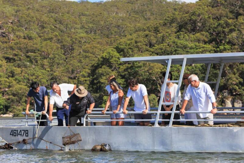 Shell to Showroom - Sydney's only Pearl Farm Experience - Final Thoughts